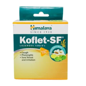 Koflet-Sf Lozenges (Ginger Mint) (6Tabs) – Himalaya