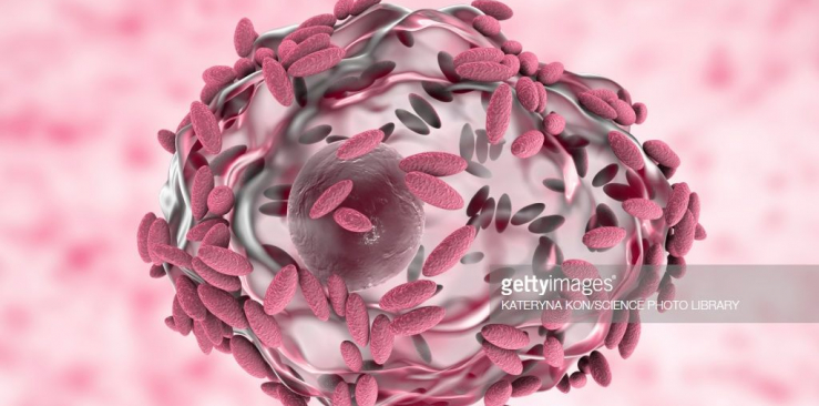 Treat Bacterial Vaginosis