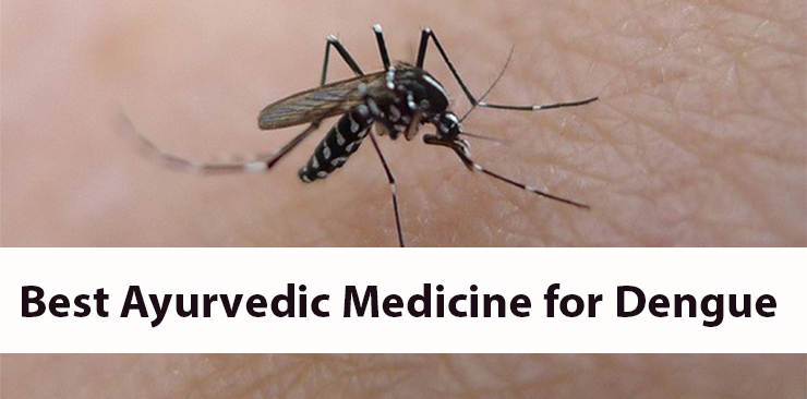 best ayurvedic medicine for dengue