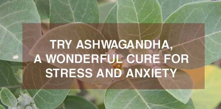 ashwagandha