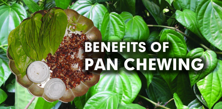 Tambul or pan chewing