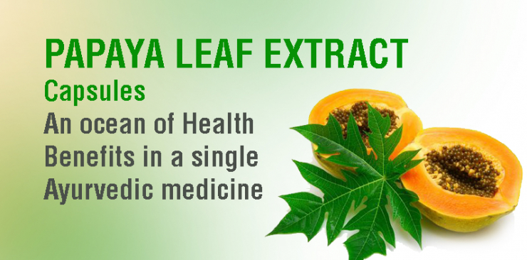 Papaya leaf extract capsules