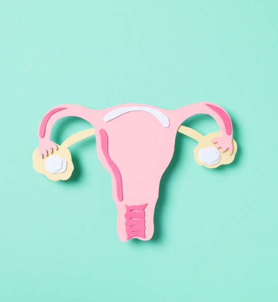 ayurvedic shop online for women's health