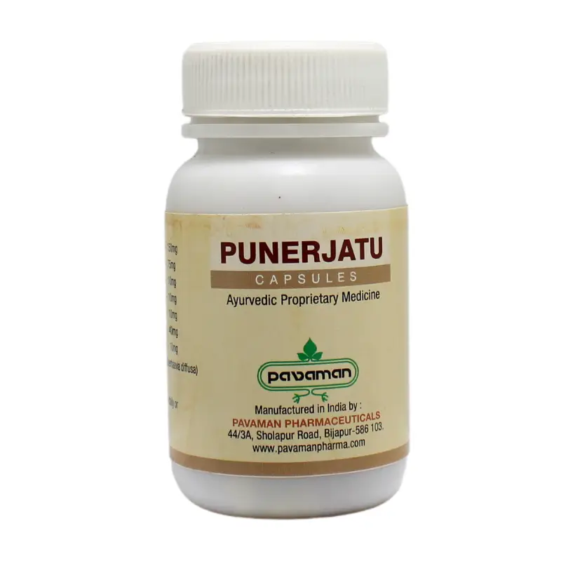 Punerjatu Capsule (100Caps) – Pavaman