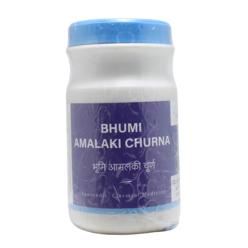 Bhumi Amalaki Churna 90gm – Ayur Vibes